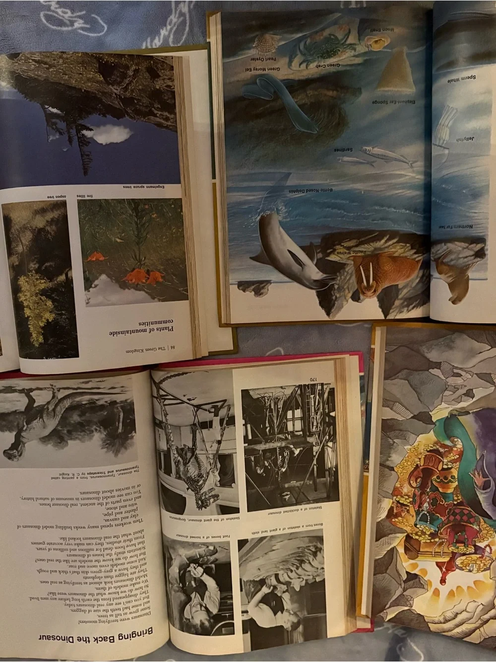 Book Bundle